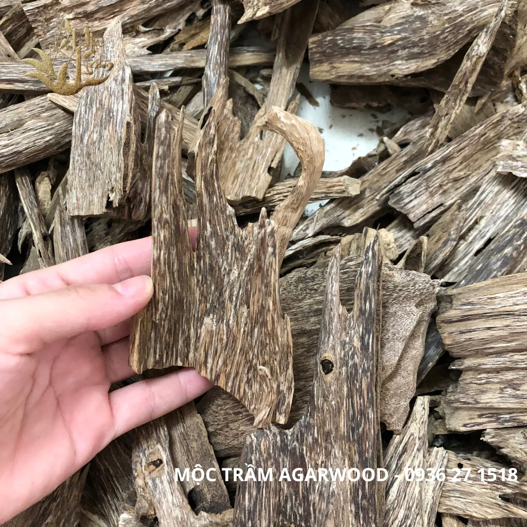 Natural Agarwood Chips – “Kien Xi” Vietnamese Wild Oud (Multi-Weight Options)